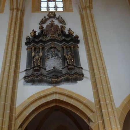 Pension Vila Andra Sibiu Esterno foto