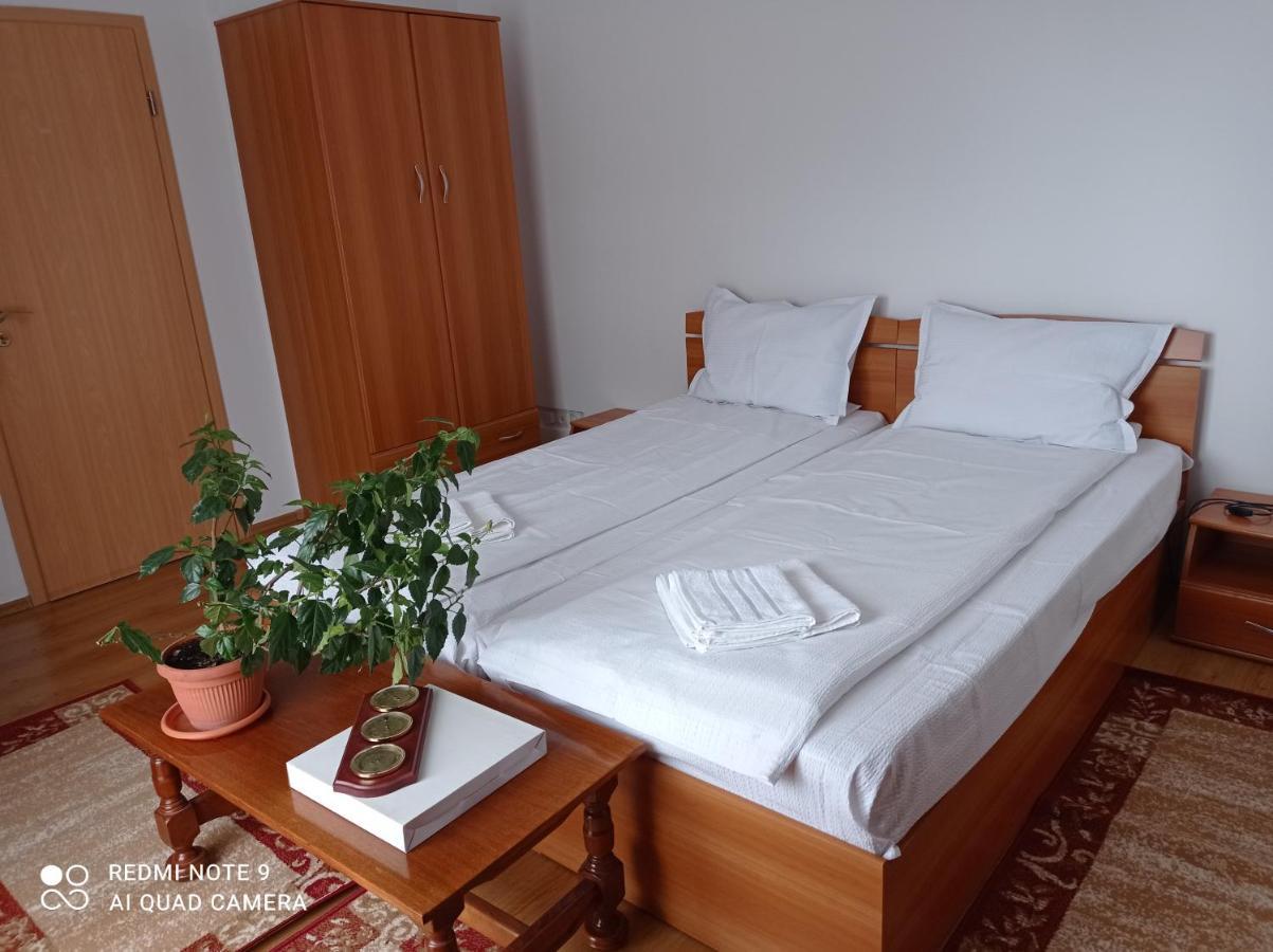 Pension Vila Andra Sibiu Esterno foto