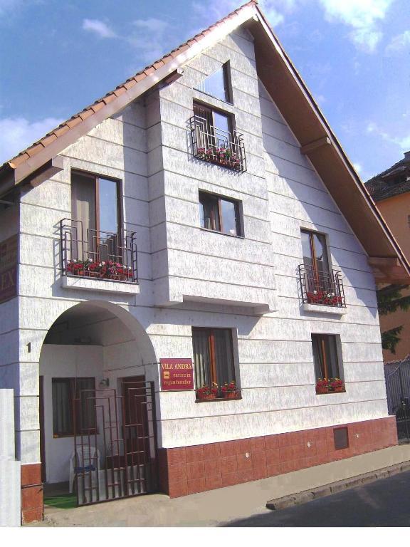 Pension Vila Andra Sibiu Esterno foto
