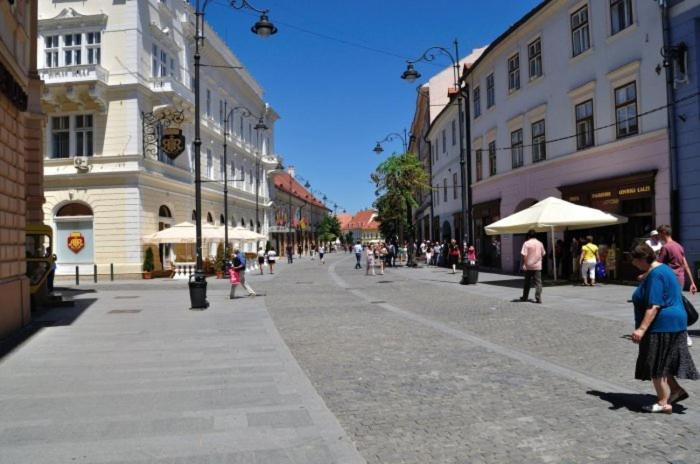 Pension Vila Andra Sibiu Esterno foto