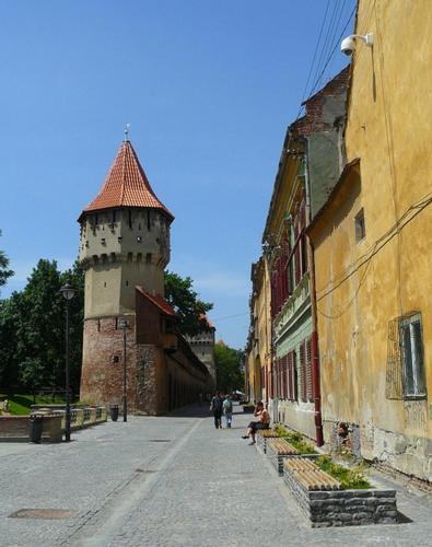 Pension Vila Andra Sibiu Esterno foto