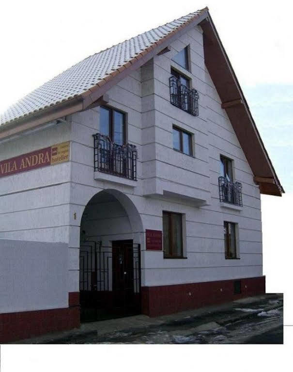 Pension Vila Andra Sibiu Esterno foto